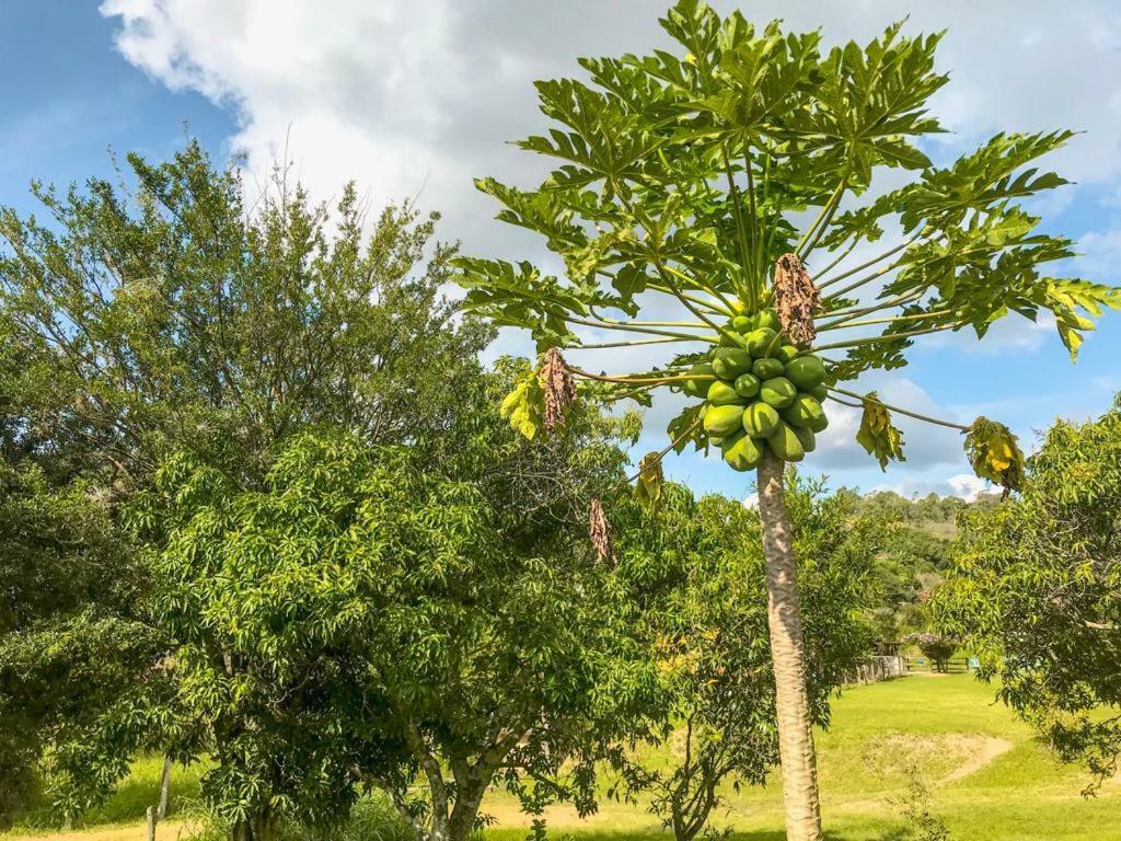 Fazenda Paisagem Chales Serra Negra  Ngoại thất bức ảnh